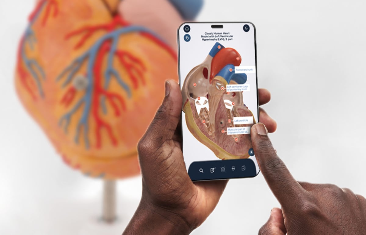 23-01_Banner_3B_Smart_Anatomy_Launch23_Newsletter_1292x833